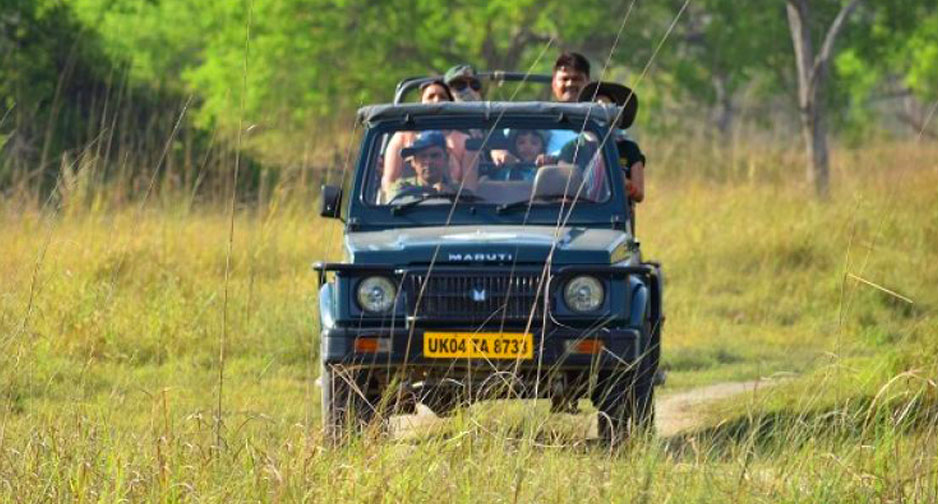 Best Thing About Jeep Safari in Corbett During Summers