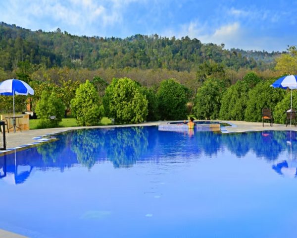Swimming Pool at Golden Tusk Resort
