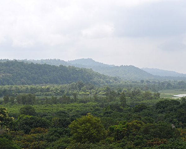 Hridyesh Wilderness Landscape View